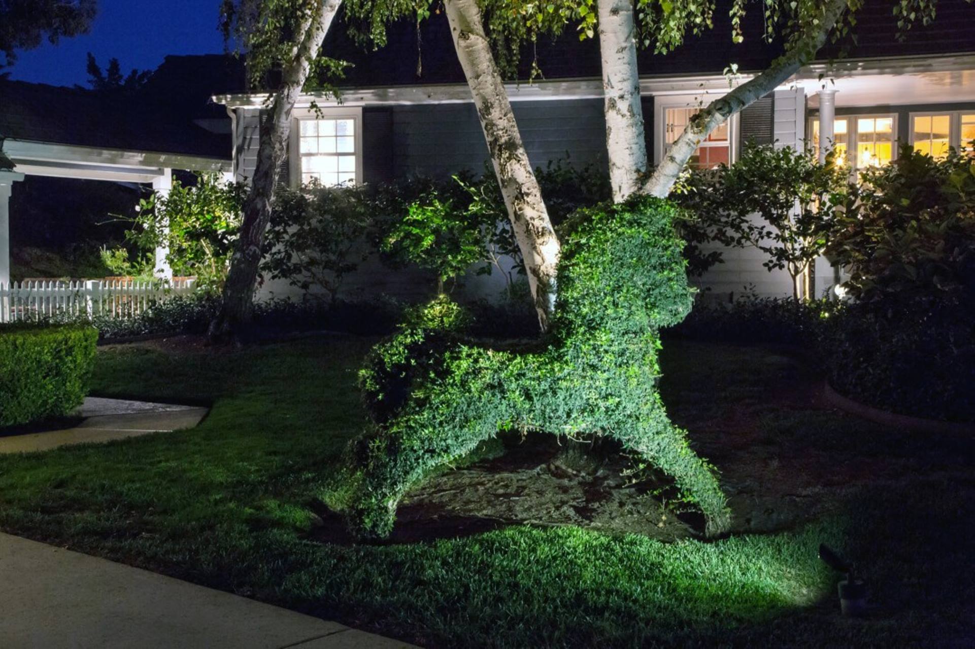 Steps You Should Take Before Hiring A Landscape Lighting Contractor ...