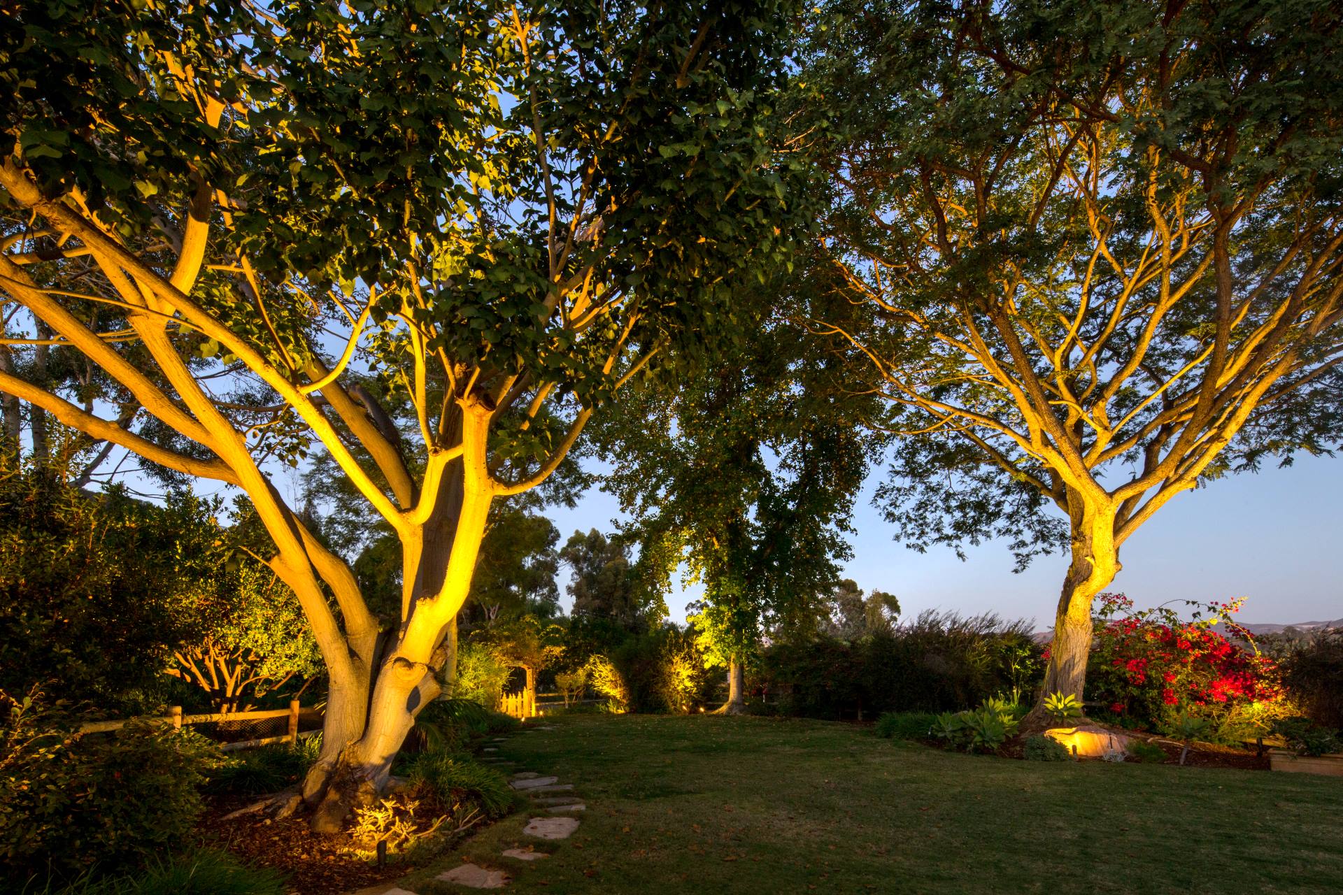 Tree Lighting is a Work of Art: Ten Ways to Use Outdoor Hanging