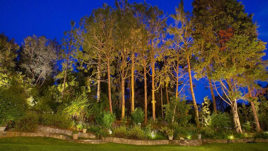 Encinitas Low-Voltage LED Landscape Lighting Conserving Voltage and the Environment.jpg