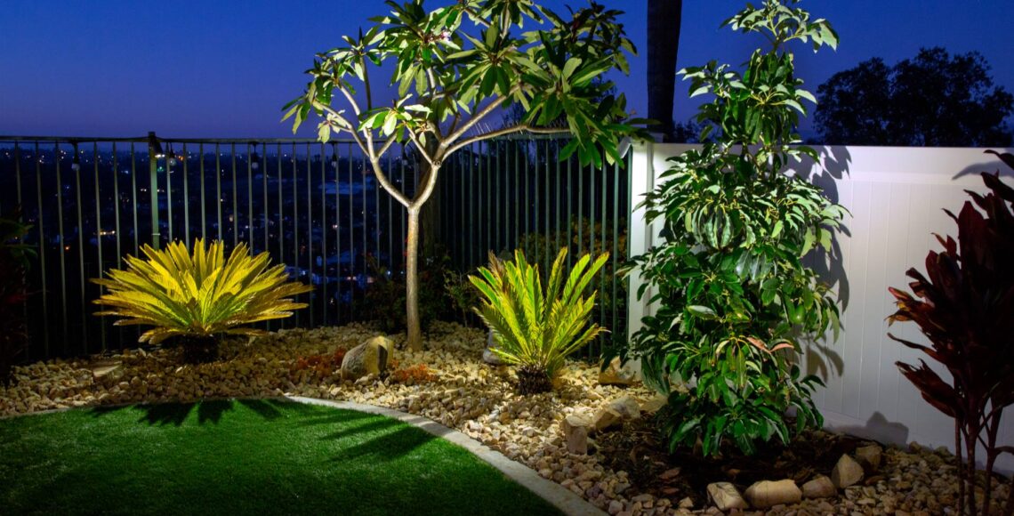 Shine Bright Seven Ideas to Help You Accent Your Trees with Outdoor Lighting-min.jpg