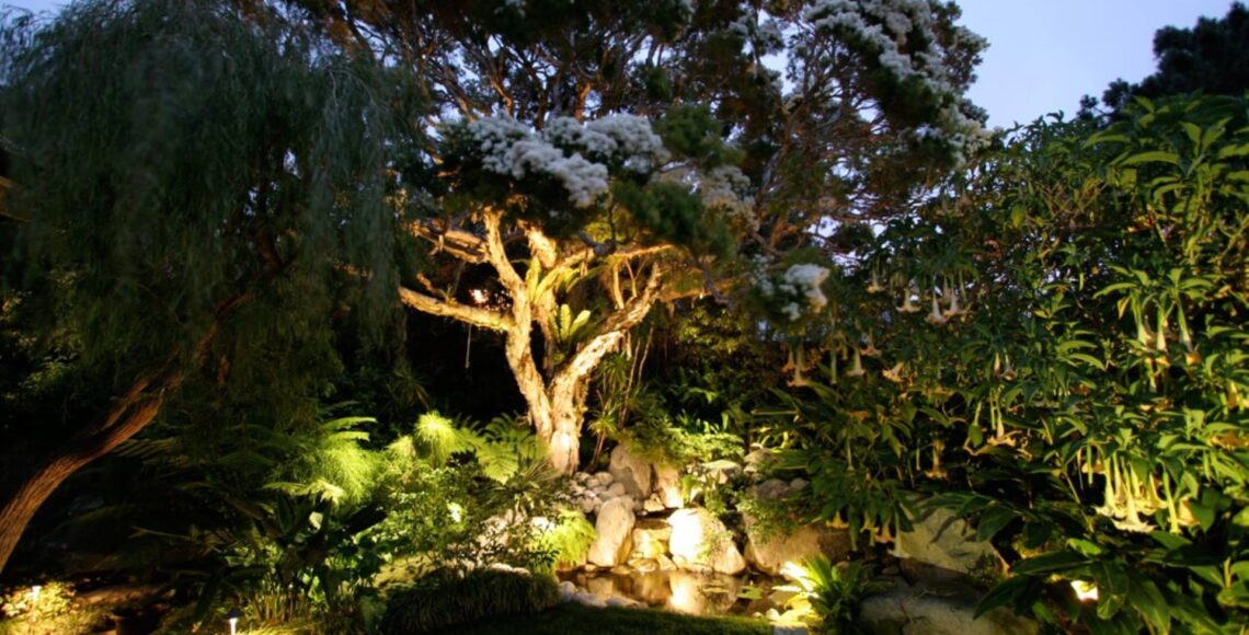 Six Landscape Lighting Techniques You Need to Know About-min.jpg