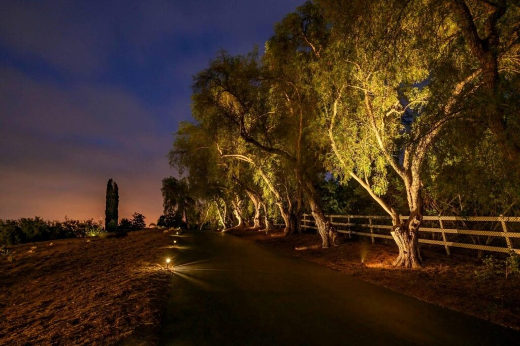 Top Questions to Ask Before Hiring Outdoor Lighting Contractors Near San Diego.jpg