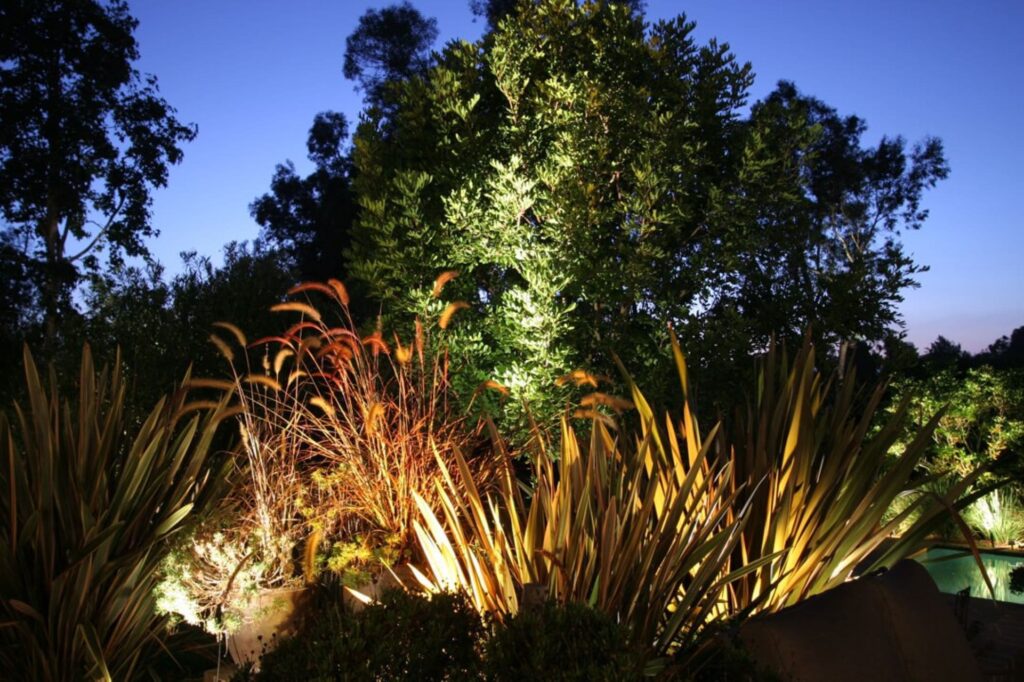 Who Can Benefit from Landscape Lighting-min.jpg